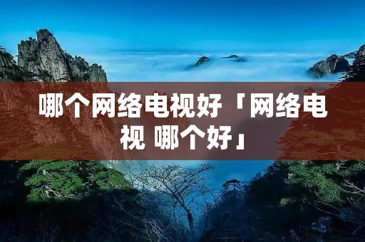 哪个网络电视好「网络电视 哪个好」