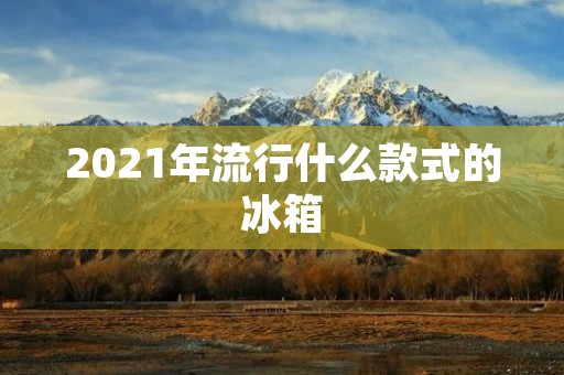 2021年流行什么款式的冰箱