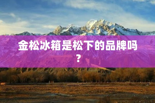 金松冰箱是松下的品牌吗？