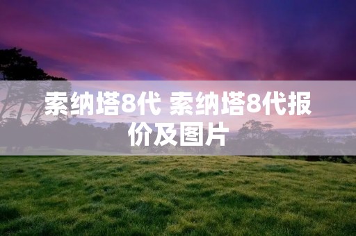 索纳塔8代 索纳塔8代报价及图片 索纳塔8代 索纳塔8代报价及图片