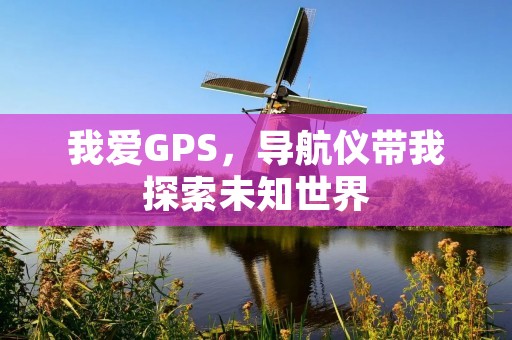 我爱GPS,导航仪带我探索未知世界 我爱GPS,导航仪带我探索未知世界