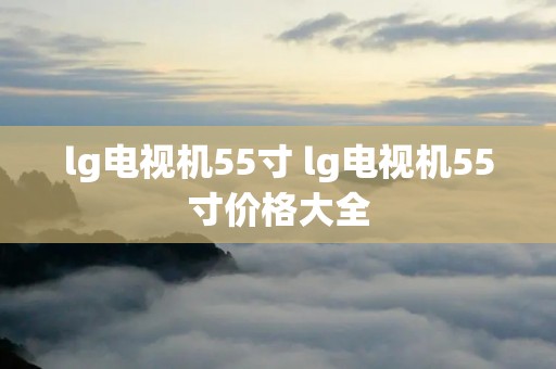 lg电视机55寸 lg电视机55寸价格大全