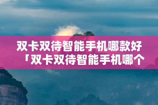 双卡双待智能手机哪款好「双卡双待智能手机哪个牌子的好」