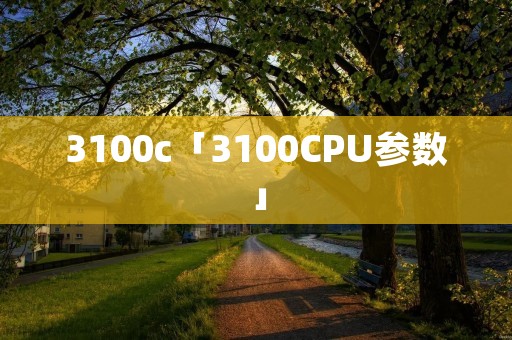 3100c「3100CPU参数」 3100c「3100CPU参数」