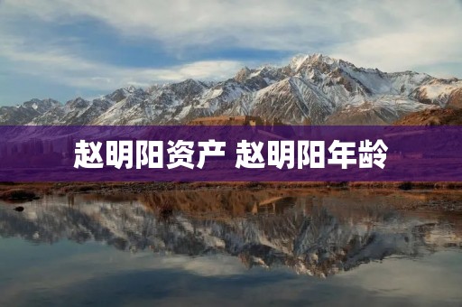 赵明阳资产 赵明阳年龄