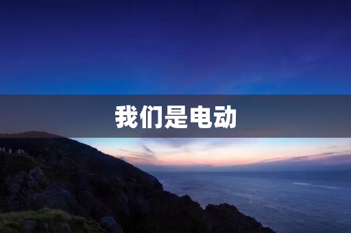 我们是电动:电动汽车的崛起与发展 我们是电动:电动汽车的崛起与发展