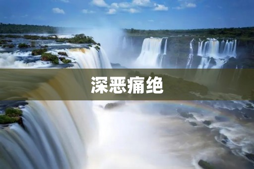 深恶痛绝:网络暴力的危害与反思