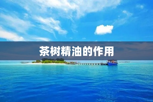 茶树精油的作用：探索茶树精油的多重功效
