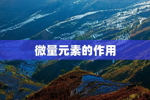 微量元素的作用
