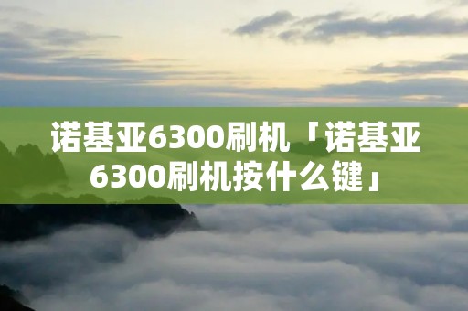 诺基亚6300刷机「诺基亚6300刷机按什么键」