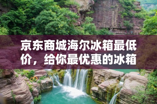 京东商城海尔冰箱最低价，给你最优惠的冰箱购物体验