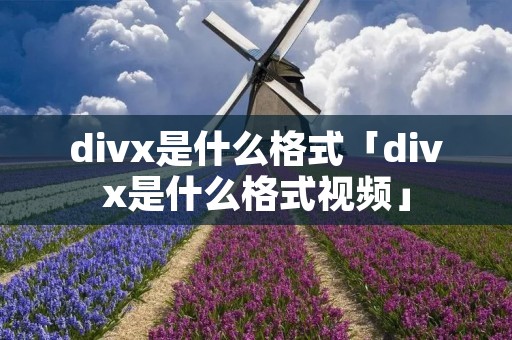 divx是什么格式「divx是什么格式视频」 divx是什么格式「divx是什么格式视频」