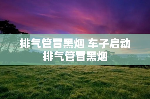 排气管冒黑烟 车子启动排气管冒黑烟