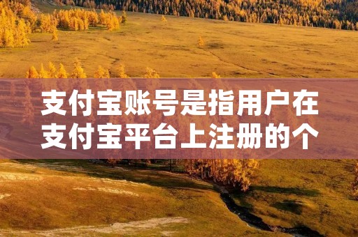 支付宝账号是指用户在支付宝平台上注册的个人或企业账号,用于进行各类在线支付和资金管理的工具。支付宝账号的注册和使用非常简便,用户只需提供一些基本的个人信息,即可拥有一个属于自己的支付宝账号。