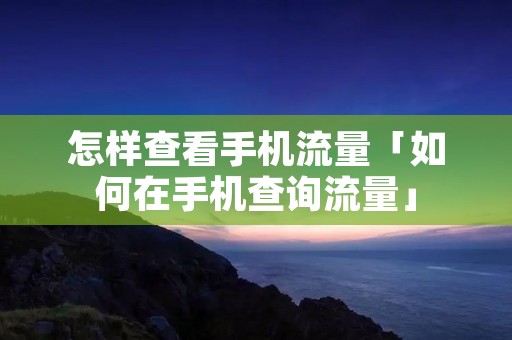 怎样查看手机流量「如何在手机查询流量」