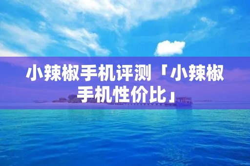 小辣椒手机评测「小辣椒手机性价比」