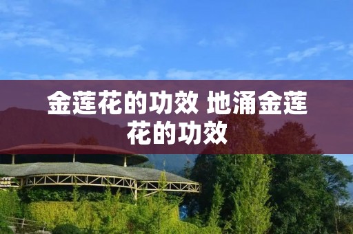 金莲花的功效 地涌金莲花的功效