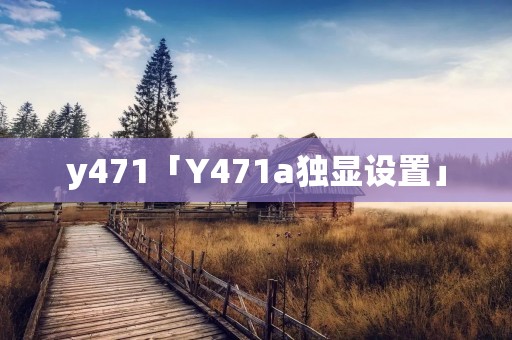 y471「Y471a独显设置」