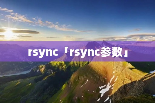 rsync「rsync参数」 rsync「rsync参数」