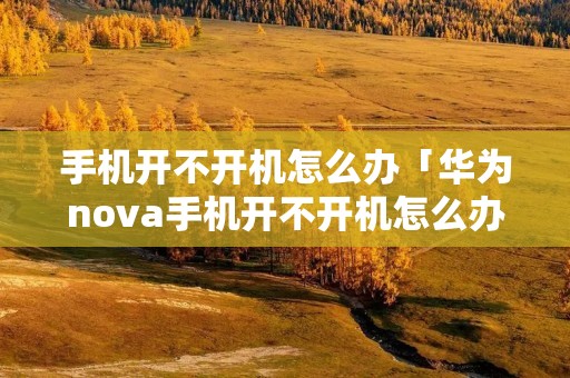 手机开不开机怎么办「华为nova手机开不开机怎么办」 手机开不开机怎么办「华为nova手机开不开机怎么办」