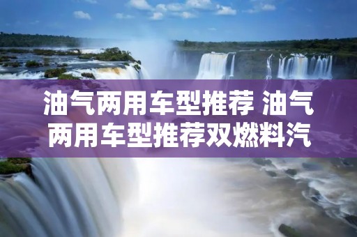 油气两用车型推荐 油气两用车型推荐双燃料汽车怎么把罐里的气放掉