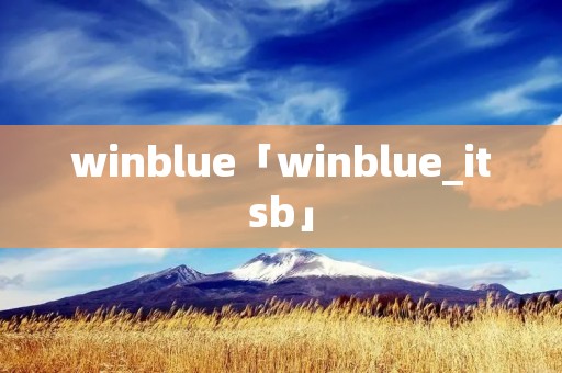winblue「winblue_it**」