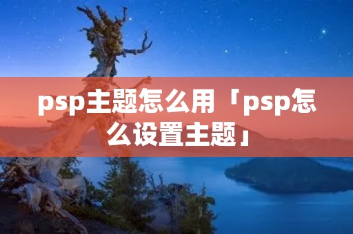 psp主题怎么用「psp怎么设置主题」 psp主题怎么用「psp怎么设置主题」