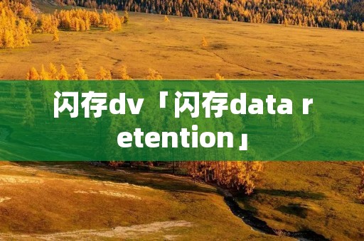 闪存dv「闪存data retention」 闪存dv「闪存data retention」