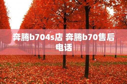 奔腾b704s店 奔腾b70售后电话