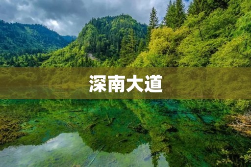 深南大道:一个蓬勃发展的城市动脉