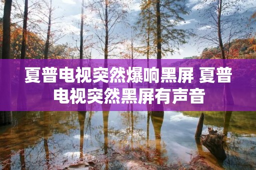 夏普电视突然爆响黑屏 夏普电视突然黑屏有声音