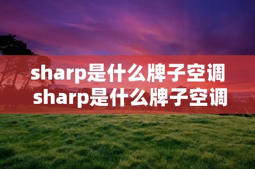 sharp是什么牌子空调 sharp是什么牌子空调遥控器密码多少