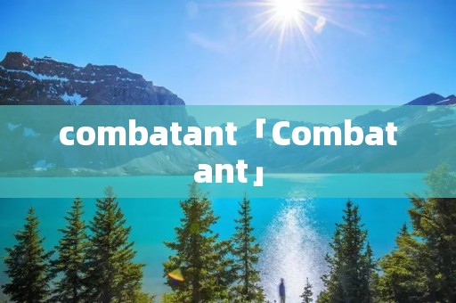 combatant「Combatant」