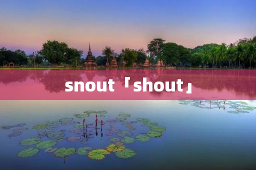 snout「shout」
