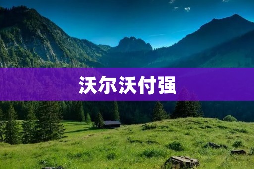 沃尔沃付强:致力于打造高品质的汽车驾驶体验 沃尔沃付强:致力于打造高品质的汽车驾驶体验