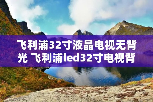 飞利浦32寸液晶电视无背光 飞利浦led32寸电视背光灯