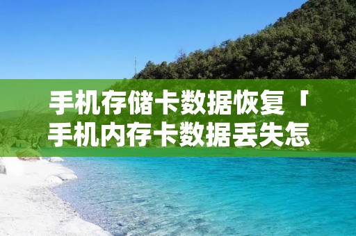 手机存储卡数据恢复「手机内存卡数据丢失怎么恢复」 手机存储卡数据恢复「手机内存卡数据丢失怎么恢复」