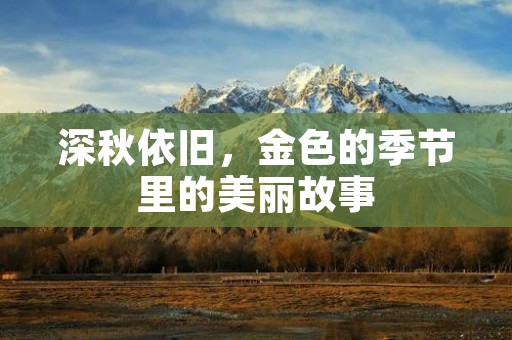 深秋依旧,金色的季节里的美丽故事