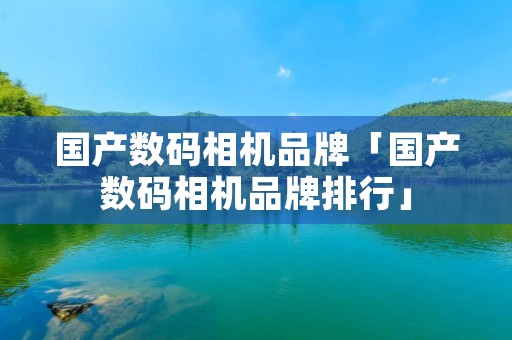 国产数码相机品牌「国产数码相机品牌排行」