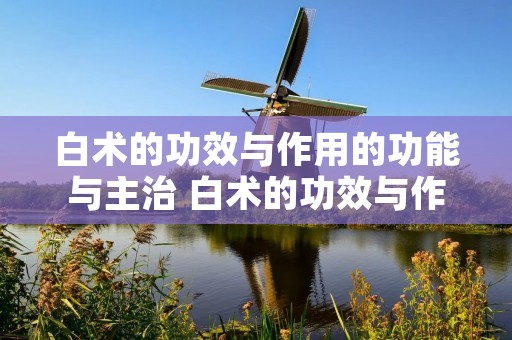 白术的功效与作用的功能与主治 白术的功效与作用的功能与主治白芍