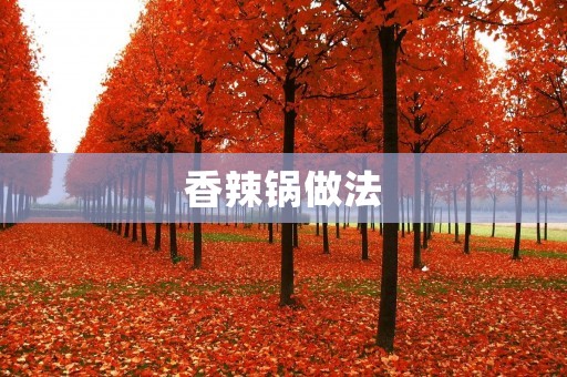 香辣锅做法：带你领略辣味的魅力