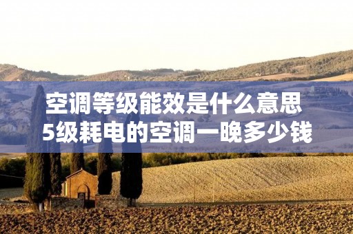 空调等级能效是什么意思 5级耗电的空调一晚多少钱