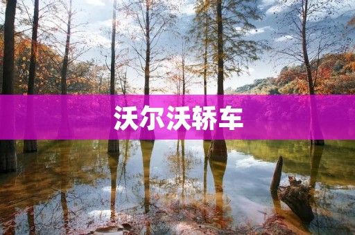 沃尔沃轿车：领航未来的安全与豪华之选