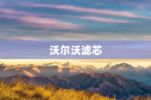 沃尔沃滤芯:保障你的车辆健康 沃尔沃滤芯:保障你的车辆健康