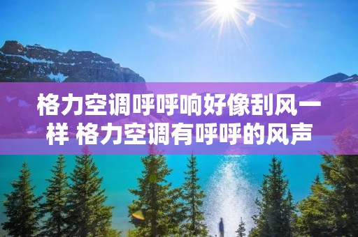 格力空调呼呼响好像刮风一样 格力空调有呼呼的风声