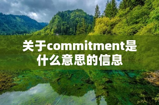 关于commitment是什么意思的信息 关于commitment是什么意思的信息