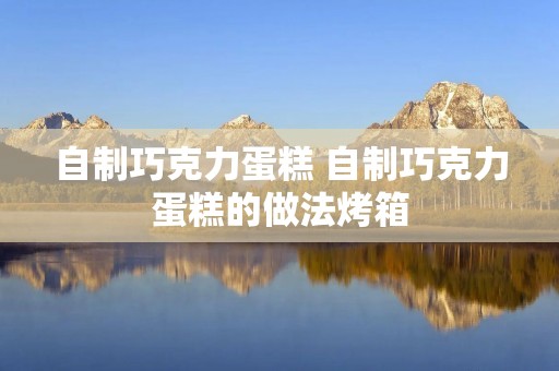 自制巧克力蛋糕 自制巧克力蛋糕的做法烤箱