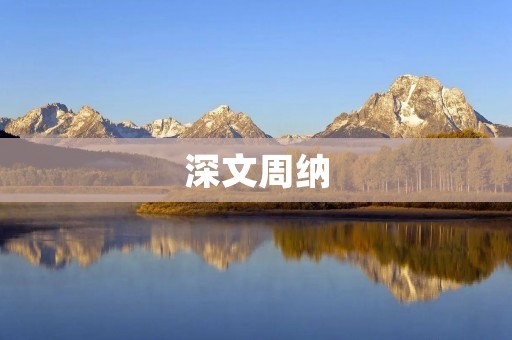 深文周纳:探寻文字背后的深意