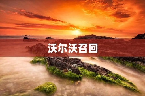沃尔沃召回:为了消除安全隐患,保障用户权益! 沃尔沃召回:为了消除安全隐患,保障用户权益!