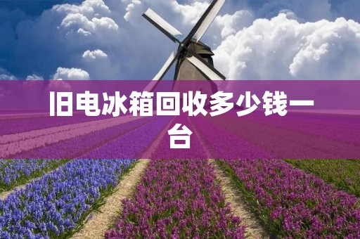 旧电冰箱回收多少钱一台 旧电冰箱回收多少钱一台